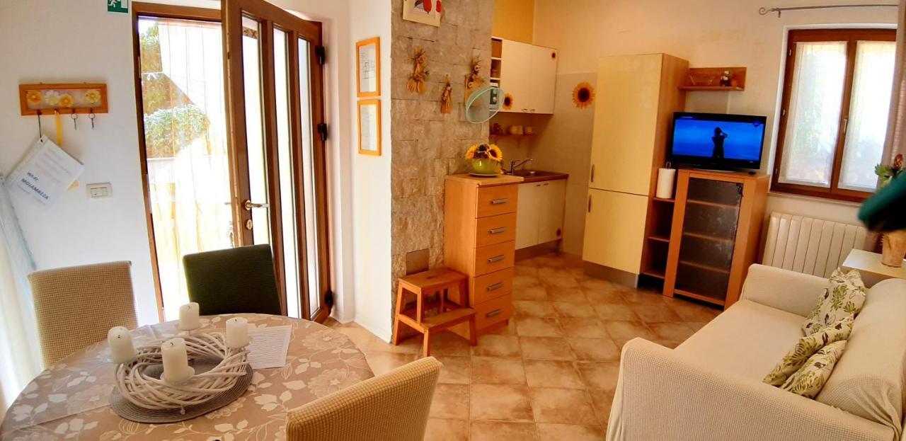 Apartments Demori Galižana 外观 照片